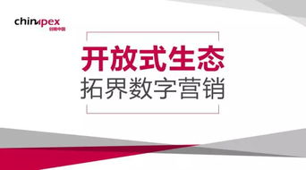 營銷視角下程序化行業(yè)的開放 技術咨詢的深層剖析