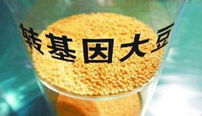 金龍魚陷轉基因門風波 專家稱安全性尚無定論，對酒類經營有何啟示？